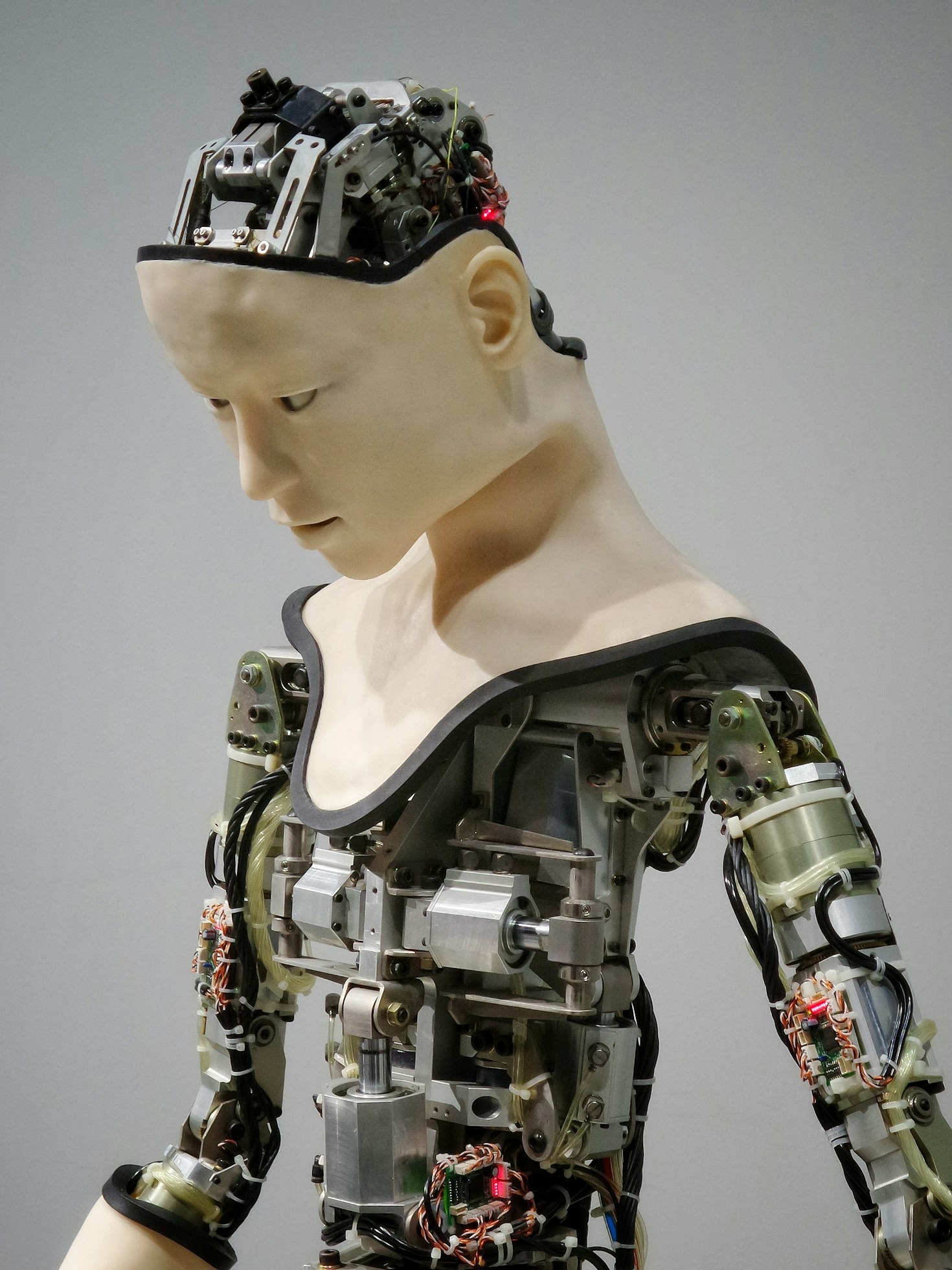 Case Studies: AI’s Real Impact in Technology