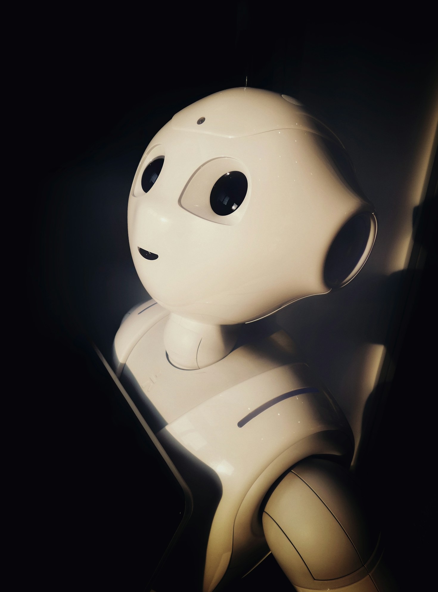 AI for Professionals: Insights and Applications